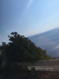 Scenic view of trees against sky