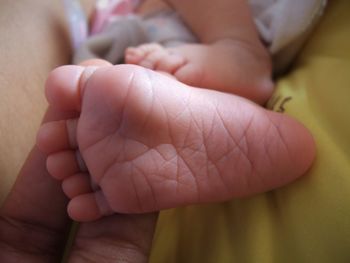 Close-up of baby hands