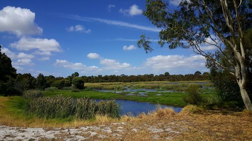 Scenic view of bibra lake against sky