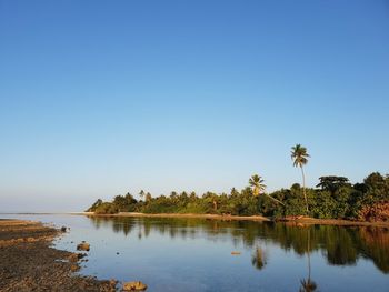 Scenic view of lake against clear blue sky