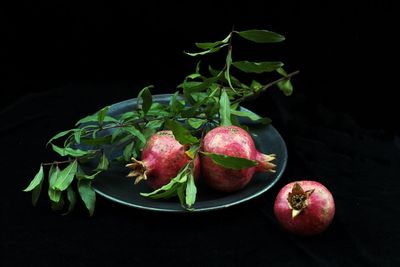 Close-up of fruits against black background