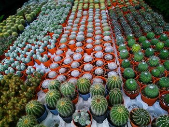 Full frame shot of market stall for sale