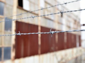 Close-up of barbed wire