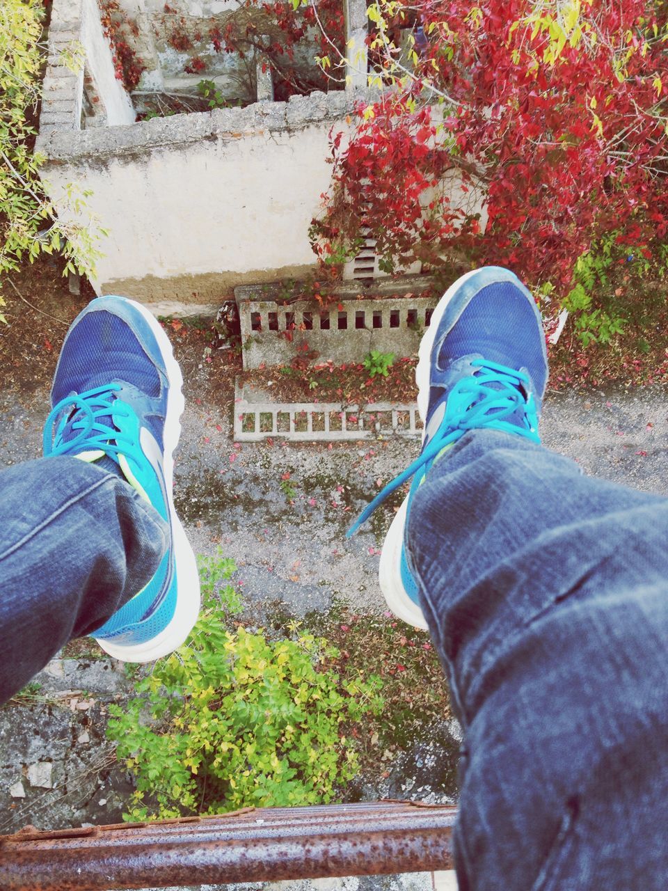 low section, person, shoe, personal perspective, high angle view, footwear, plant, casual clothing, outdoors, flower, day, footpath