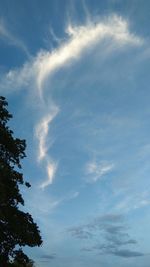 Low angle view of trees against sky