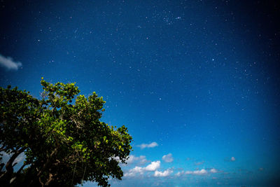 Maldives starry sky