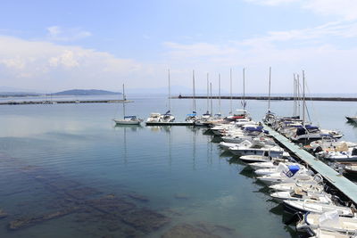 Sailboats moored in harbor