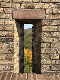 Trees seen through window amidst brick wall