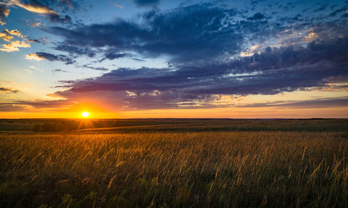 Scenic view of field against dramatic sky during sunset