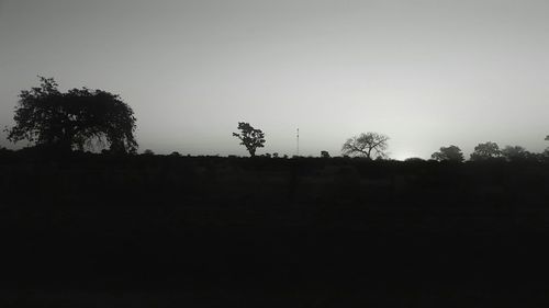 Silhouette trees on landscape against clear sky