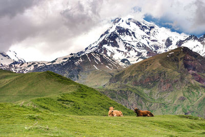 Scenic view of snowcapped mountains against sky