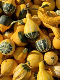 Full frame shot of fruits for sale at market stall