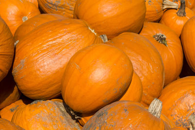 Full frame shot of pumpkins