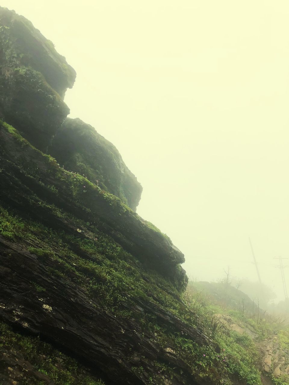 sky, tranquility, beauty in nature, mountain, tranquil scene, fog, nature, scenics - nature, no people, day, plant, green color, land, environment, landscape, outdoors, tree, rock