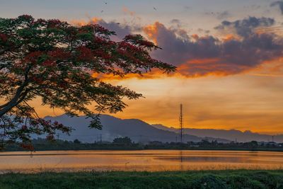 Scenic view of field against orange sky