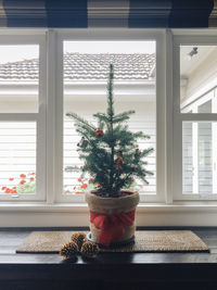 Christmas tree and pine cones on window sill at home