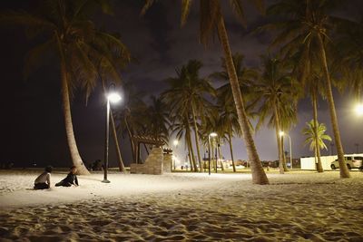 Palm trees on beach against sky at night