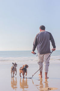Rear view of man with dogs on beach against clear sky