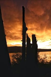 Silhouette trees on landscape against sunset sky