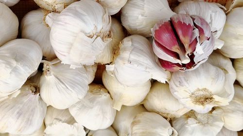 Full frame shot of white garlic bulbs for sale