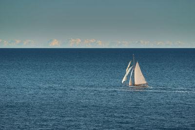 Sailboat sailing on sea against sky