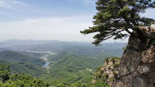 Scenic view of tree mountains against sky