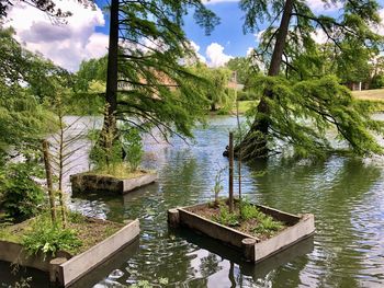 Scenic view of lake by trees against sky