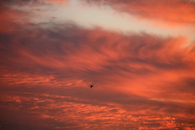 Low angle view of silhouette bird flying in cloudy sky during sunset