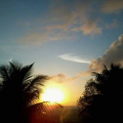 Silhouette of palm trees at sunset