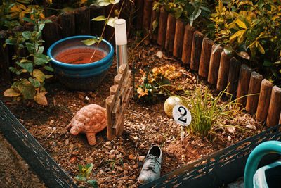 High angle view of cat on potted plants