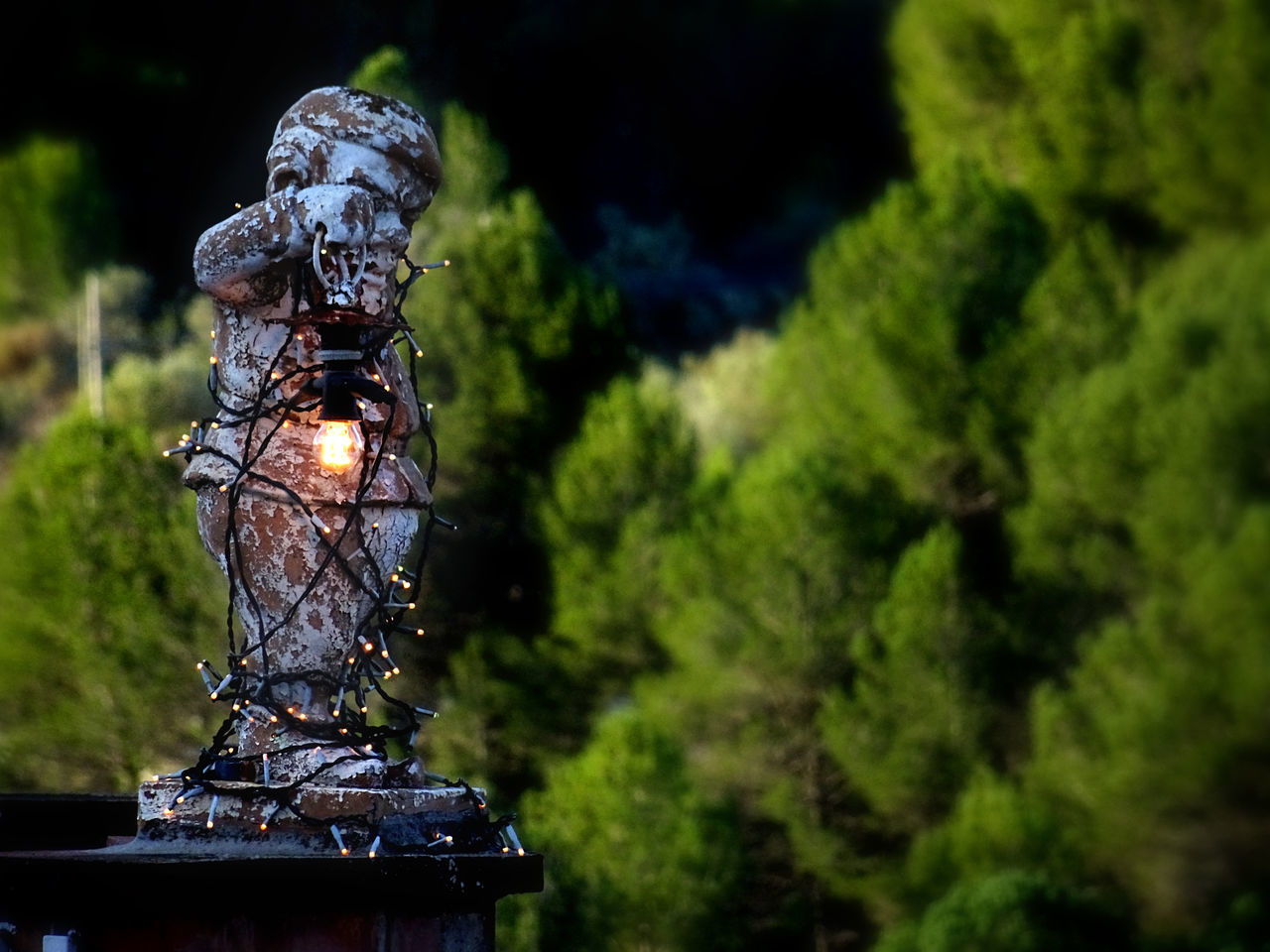 CLOSE-UP OF ILLUMINATED STATUE AGAINST TREES