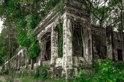 Abandoned built structure against trees