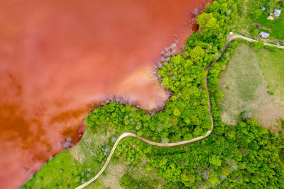 High angle view of road amidst trees against sky