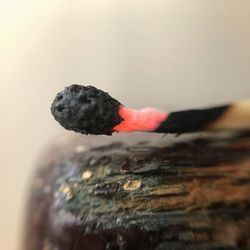 Close-up of fruit on ground