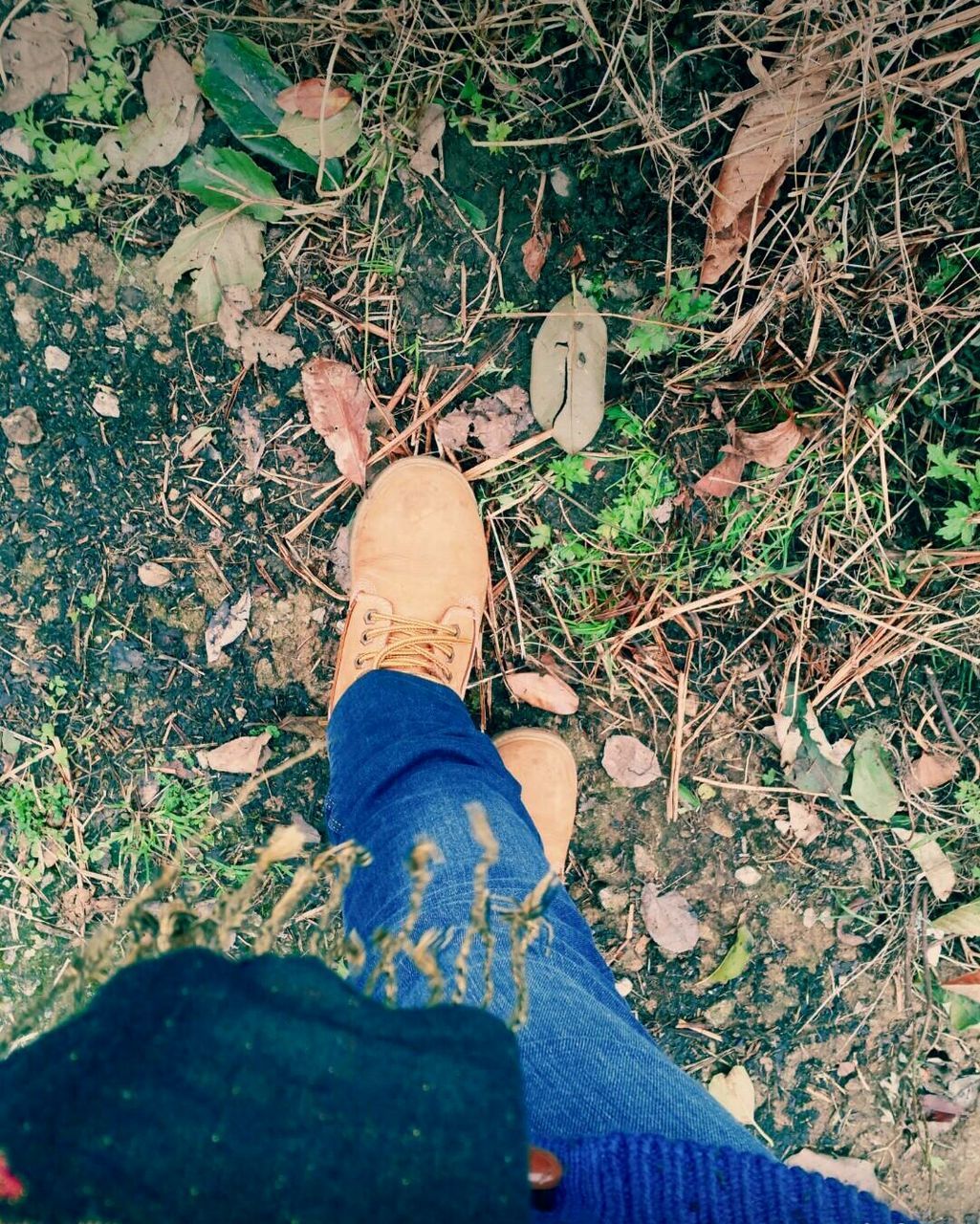 low section, shoe, person, high angle view, personal perspective, lifestyles, grass, standing, leisure activity, leaf, field, footwear, jeans, casual clothing, day, outdoors, human foot