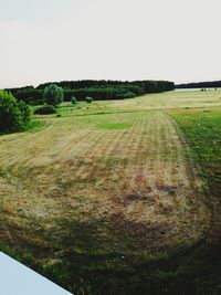 Scenic view of field against clear sky