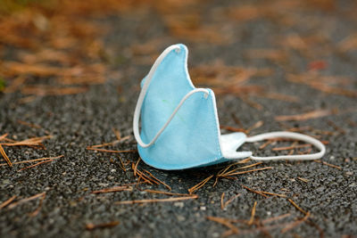 Close-up of dry leaf on field