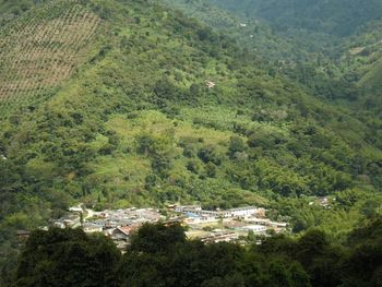 Scenic view of residential district