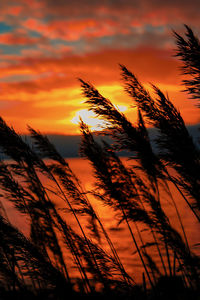 Scenic view of sunset