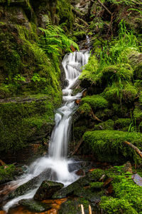 Scenic view of waterfall in forest