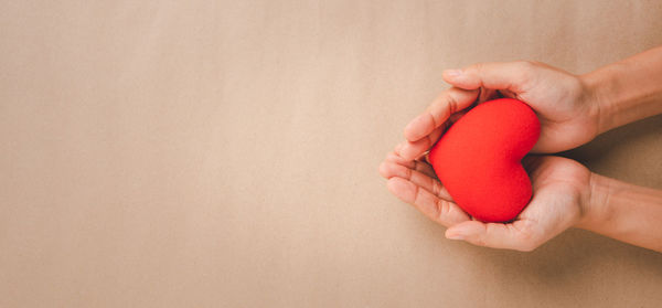 Close-up of hand holding red leaf over white background