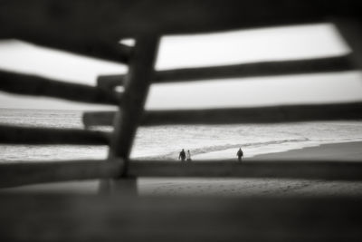 Close-up of horse in water