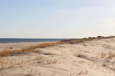 Scenic view of beach against clear sky