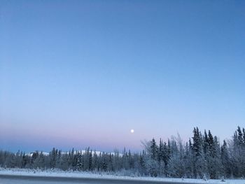 Scenic view of winter against clear blue sky