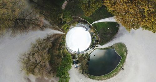 High angle view of trees by lake in forest