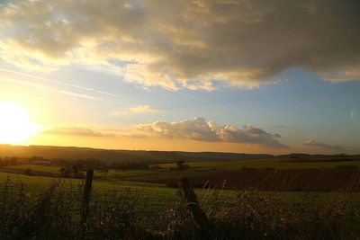 Scenic view of grassy field against sky at sunset