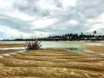 Scenic view of beach against cloudy sky