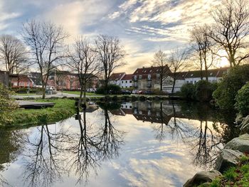 Reflection of bare trees and buildings in lake