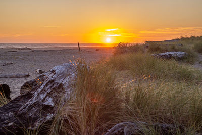 Scenic view of sea against sky during sunset