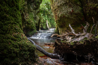 Devils pulpit a gorge in the scottish landscape close to loch lomond and trossachs national park. 